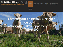 Tablet Screenshot of didierbloch.com